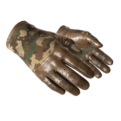 Driver Gloves | Convoy (Factory New)