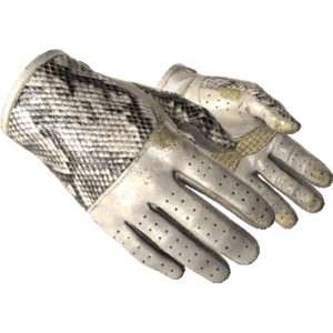 Driver Gloves | King Snake (Well-Worn)