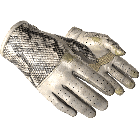 Driver Gloves | King Snake (Field-Tested)