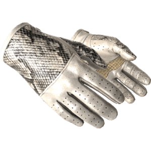 Driver Gloves | King Snake (Minimal Wear)