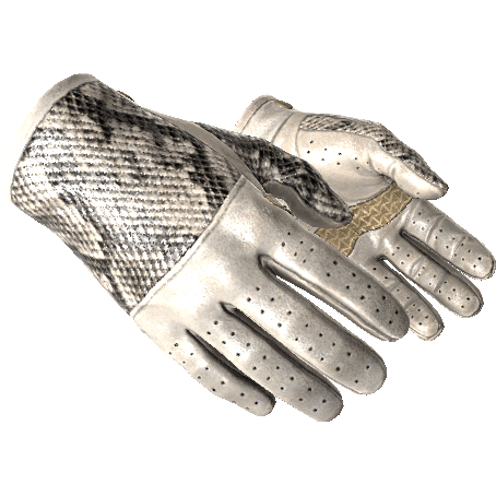 Driver Gloves | King Snake (Minimal Wear)