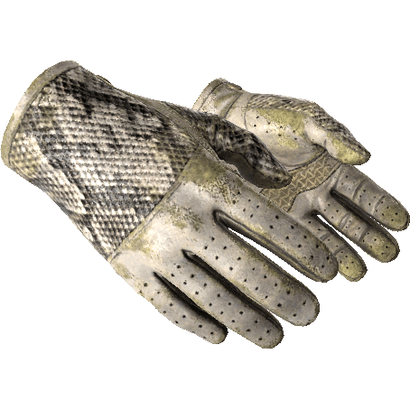 Driver Gloves | King Snake (Battle-Scarred)