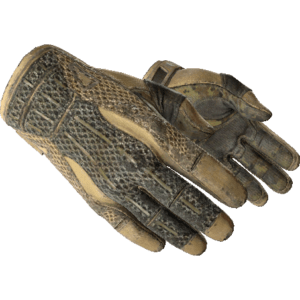 Sport Gloves | Arid (Battle-Scarred)