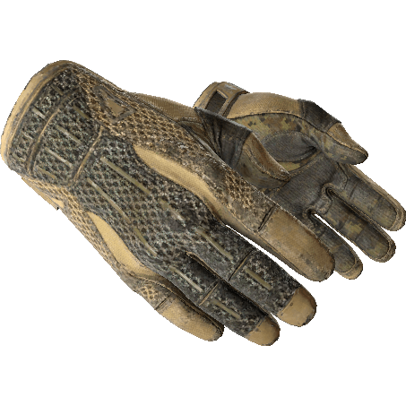 Sport Gloves | Arid (Battle-Scarred)