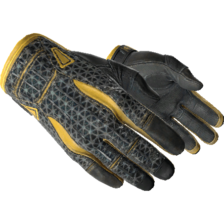 Sport Gloves | Omega (Field-Tested)