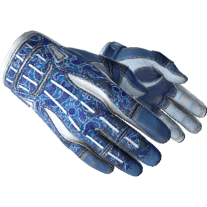 Sport Gloves | Amphibious (Field-Tested)