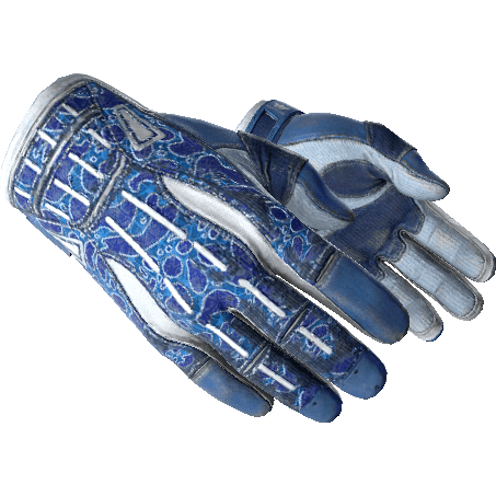 Sport Gloves | Amphibious (Field-Tested)