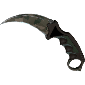 Karambit | Forest DDPAT (Field-Tested)