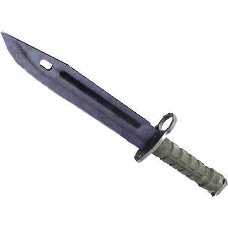 Bayonet | Blue Steel (Field-Tested)