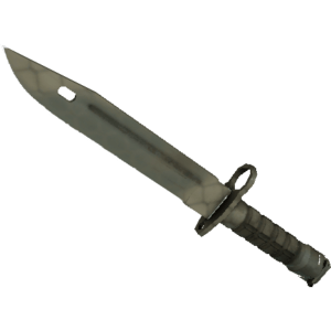 Bayonet | Safari Mesh (Minimal Wear)
