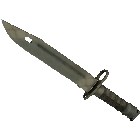 Bayonet | Safari Mesh (Minimal Wear)
