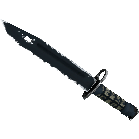 Bayonet | Night (Field-Tested)