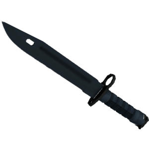 Bayonet | Night (Minimal Wear)