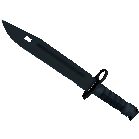 Bayonet | Night (Minimal Wear)