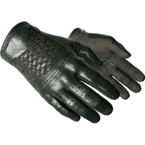 Driver Gloves | Racing Green (Factory New)