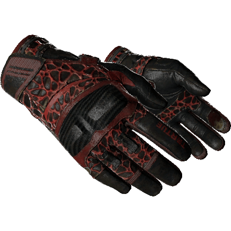Moto Gloves | Blood Pressure (Field-Tested)