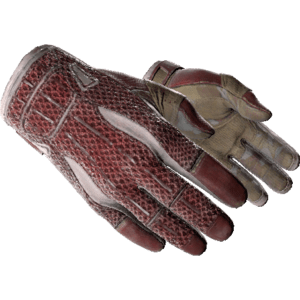 Sport Gloves | Slingshot (Well-Worn)