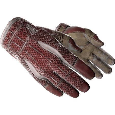 Sport Gloves | Slingshot (Field-Tested)