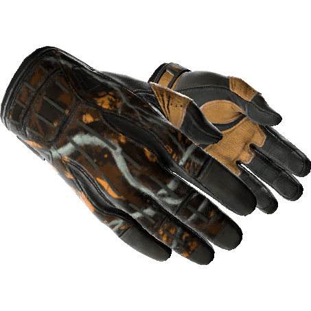 Sport Gloves | Big Game (Field-Tested)
