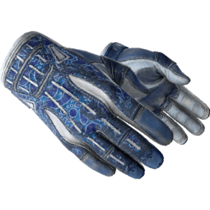 Sport Gloves | Amphibious (Battle-Scarred)