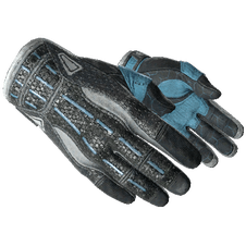 Sport Gloves | Superconductor (Well-Worn)