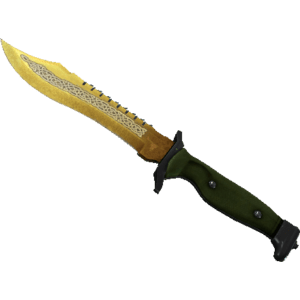 Bowie Knife | Lore (Factory New)